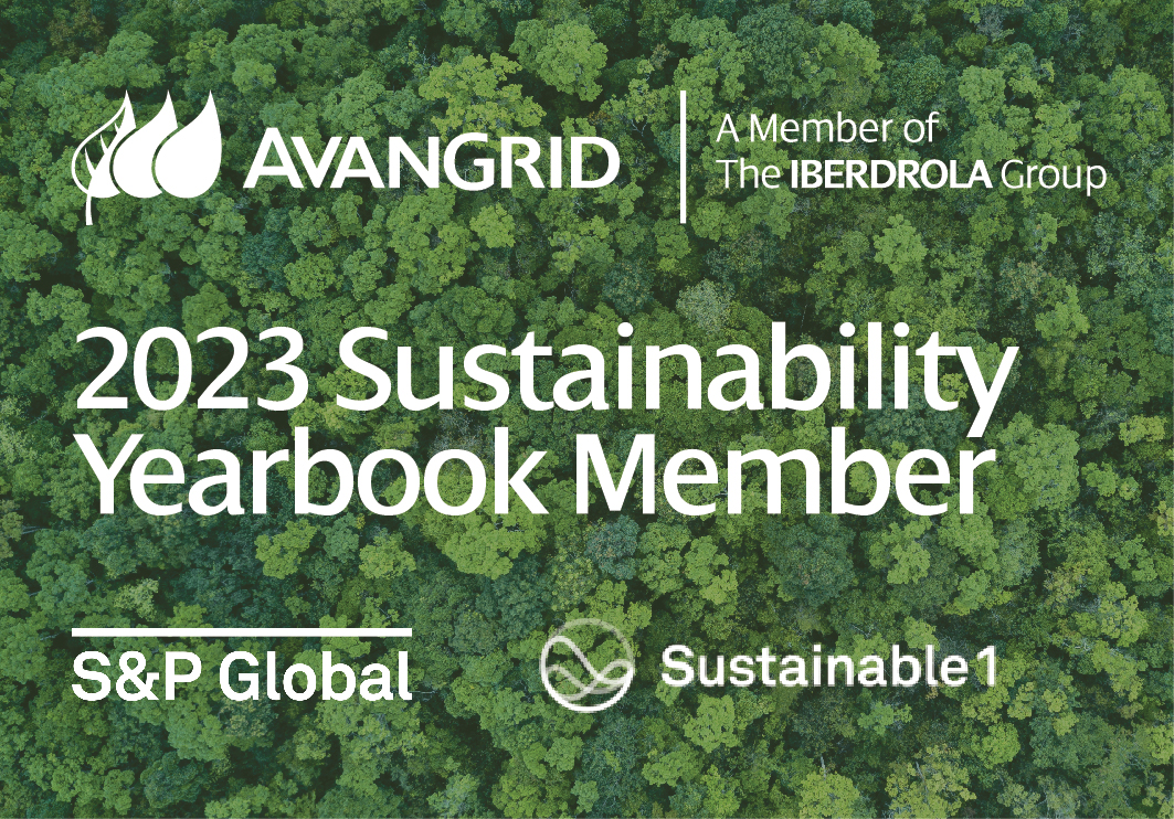 AVANGRID Recognized Among World’s Most Sustainable Companies In S&P